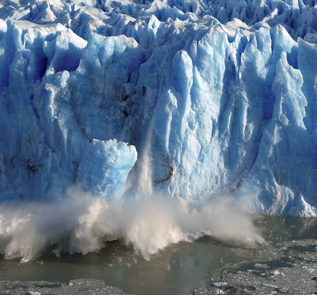 Glaciers may not survive this century, scientists say