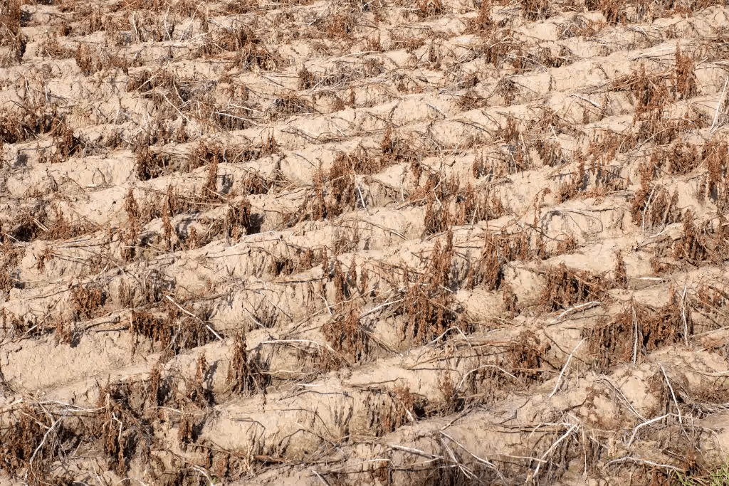El Nino looking to develop further according to the&nbsp;NOAA